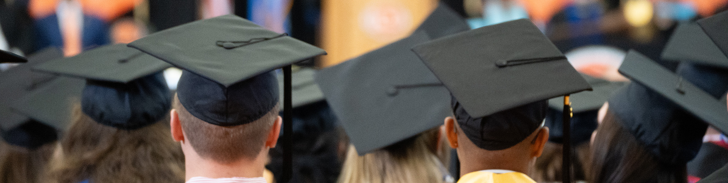 SCHOOL OF GRADUATE STUDIES visual data 2